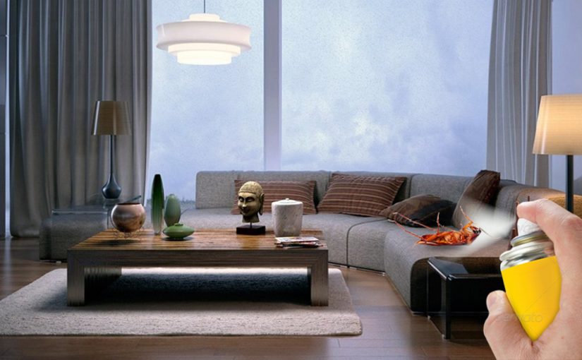 Rodent Control, guidelines and looking for professional help