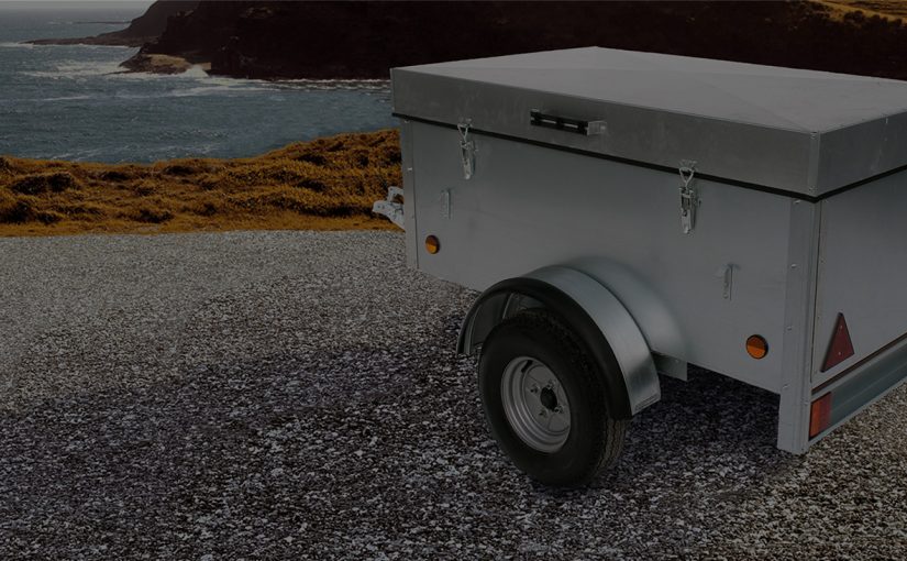 Maintenance and accessories of an aquarium to look incredible