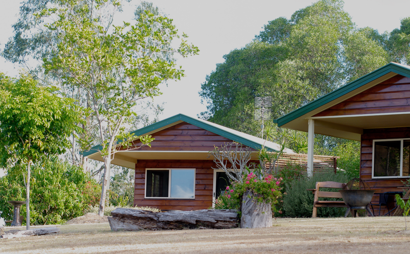 Tips to improve the experience of going on a family trip to the countryside