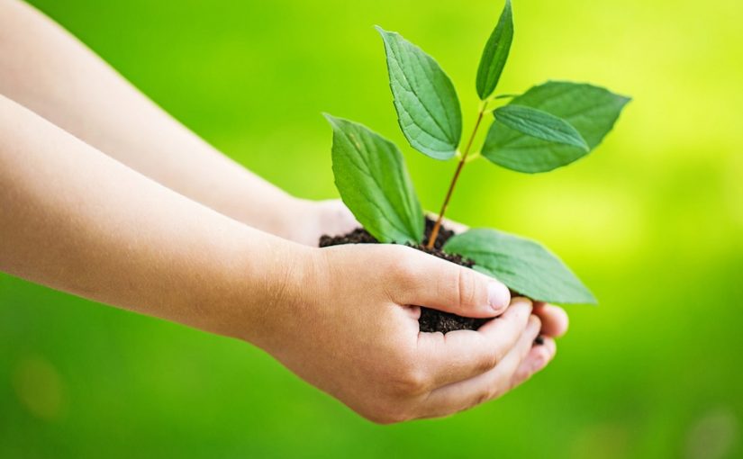 Why are Eco Friendly Products an Excellent Alternative to Traditional Cleaning Products?