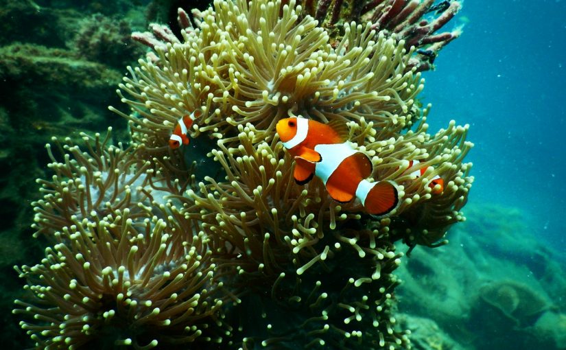 Clean, clean and clean!