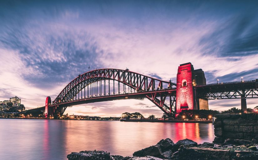 Put A Ring on It: Your Guide to Snapping Up the Best Ring Shot