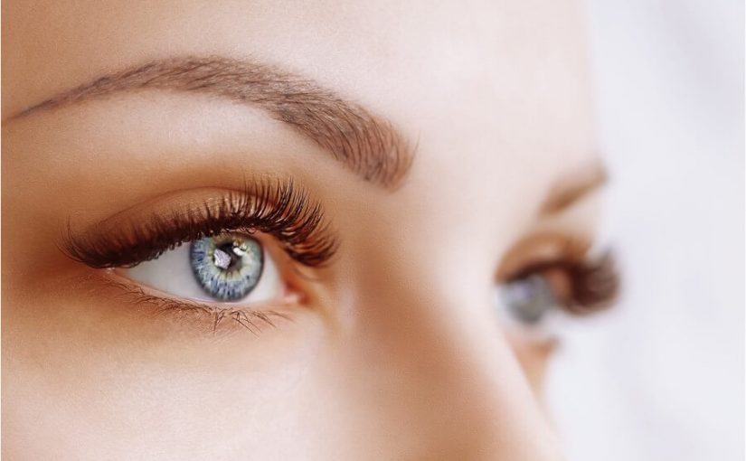 What are the eyelashes for? What function do they fulfil?